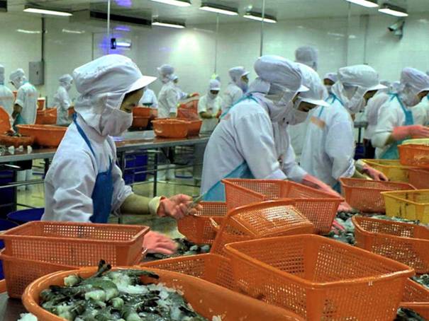 Xuất khẩu t&ocirc;m Việt Nam sang thị trường Nhật Bản đang rối ren v&igrave; dư lượng Ethoxyquin (KCN Mỹ Tho, tỉnh Tiền Giang)